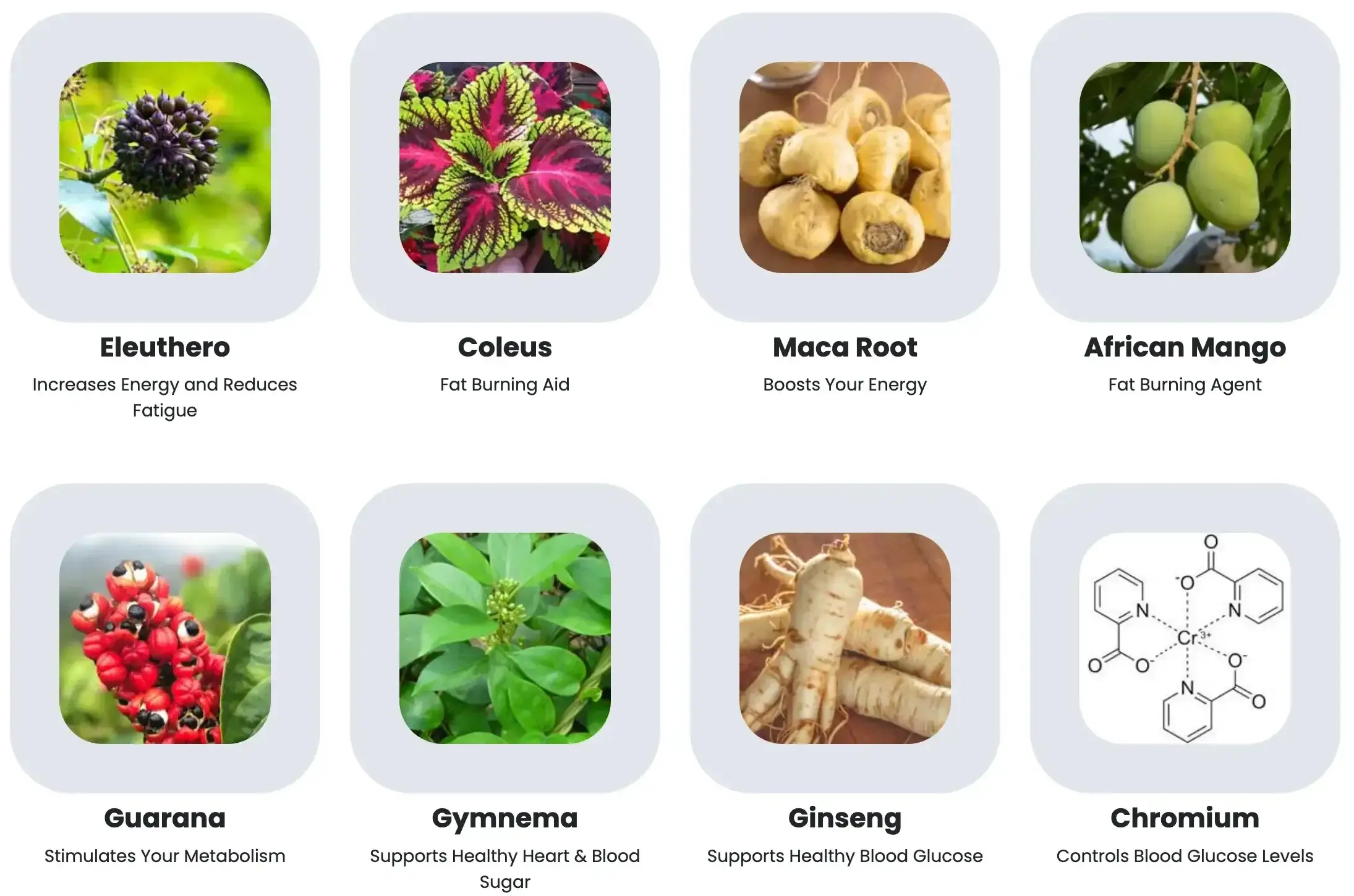 Sugar Defender Natural Ingredients